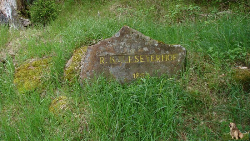 Ritterstein Nr. 037-2 R. Kaleseyerhof 1855.JPG - Ritterstein Nr.37 R. Kaleseyerhof 1855